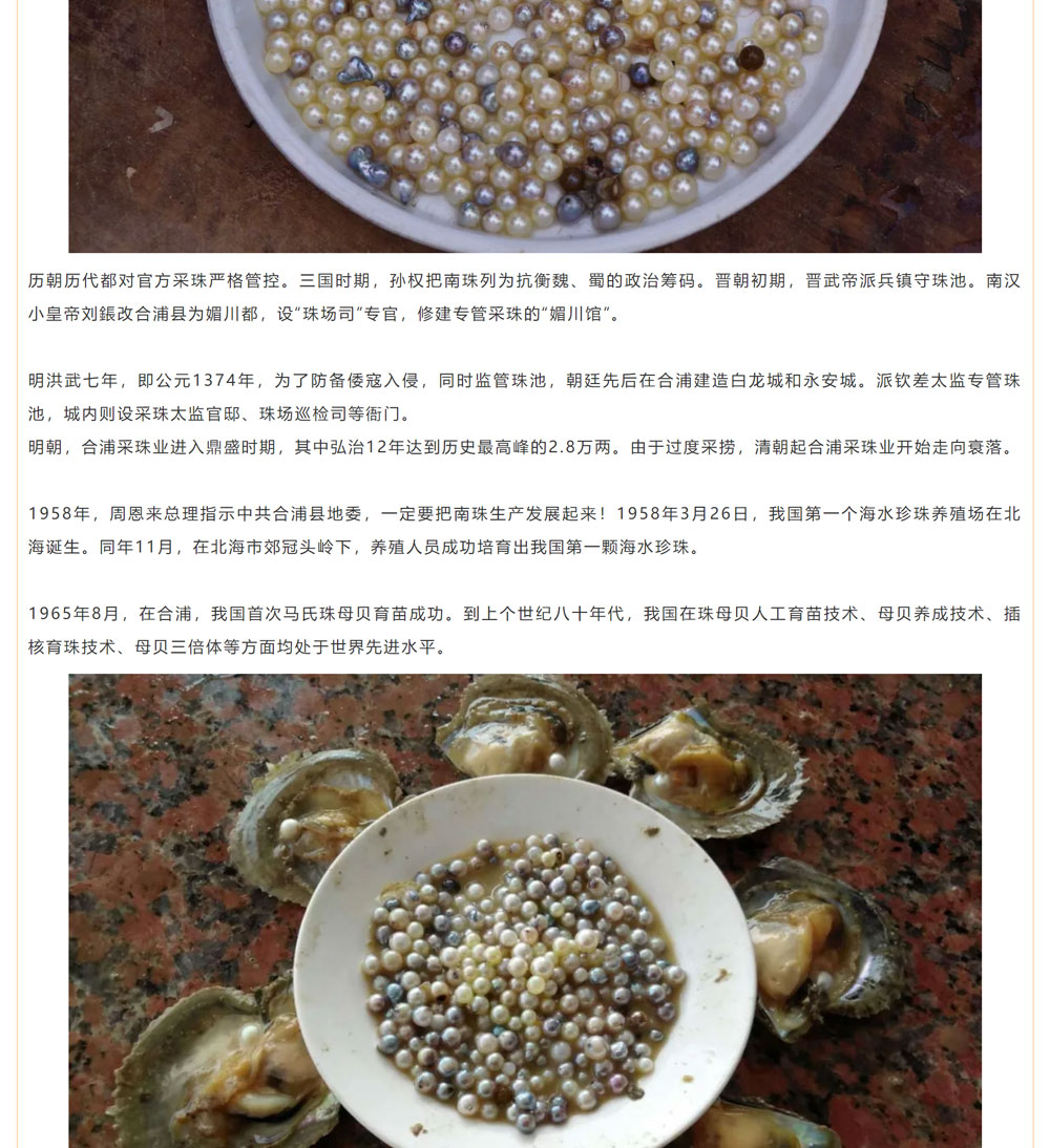 古老南珠，綻放異彩