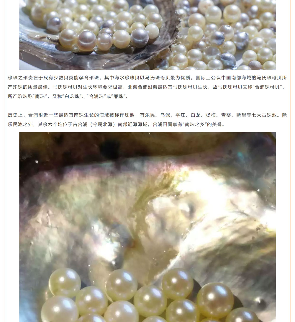 古老南珠，綻放異彩