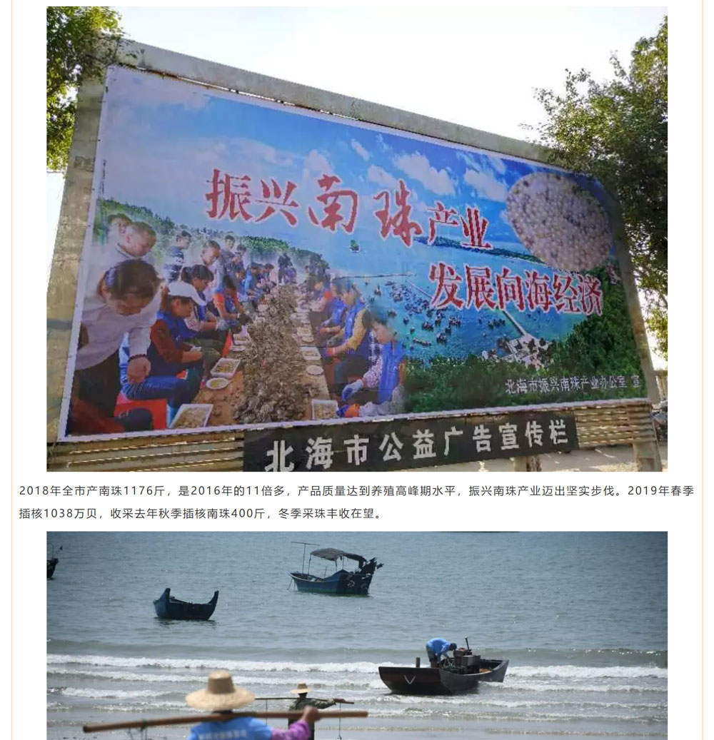 古老南珠，綻放異彩